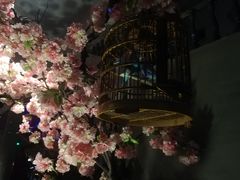 -新悦·霞浦海鲜生(上下杭店)