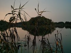 -上海市保健医疗中心