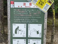 -奈良公园