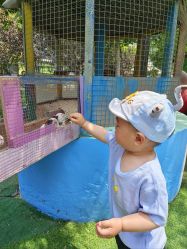 -萌宠亲子动物乐园(槐房万达店)