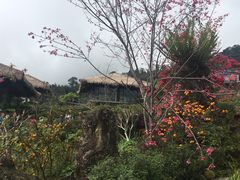 -优游吧斯邹族文化部落