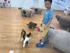 -猫冇咖·家门口的撸猫馆(大融城店)