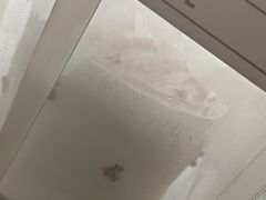 -今日·TODAY手作低脂动物奶油蛋糕定制(高新万达店)