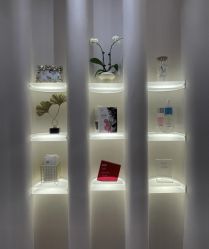 -Fundi张玉珊修身堂·indiba·BTL科技瘦身