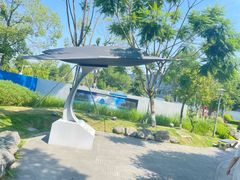 -成飞公园