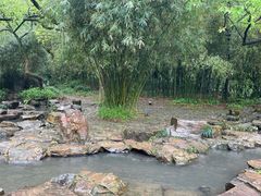 -兰亭风景区