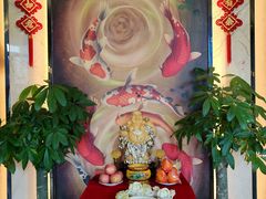 -津菜宋记老房子(鼓楼店)