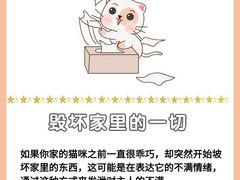 -爱侣宠医·鹦鹉专科·小型哺乳类·异宠专科(灵石路店)