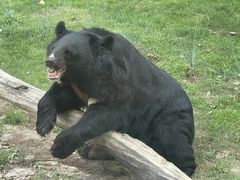 -北京野生动物园