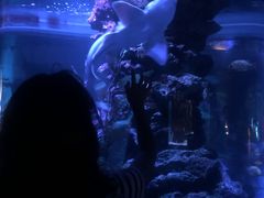 -暹罗海洋世界