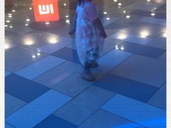 -鹏欣水游城