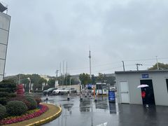 -上海市宝山区罗店医院