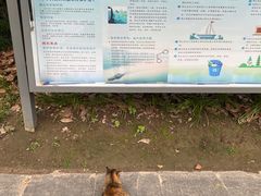 -苏州河梦清园环保主题公园