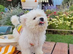 -Manner Coffee(徐汇滨江店)