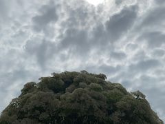 -东方熊牧场