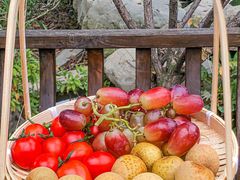 -溪山云境森林音乐餐厅(湖景店)