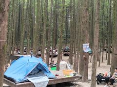 -山王坪喀斯特国家生态公园