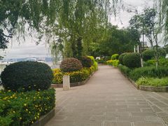 -洱海月湿地公园