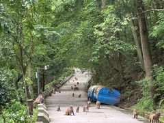 -黔灵山公园