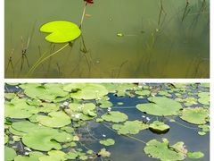 -红旗山庄(圭峰山店)