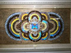 -上海昆虫博物馆