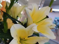 -谦和素食自助餐(云峰花园店)