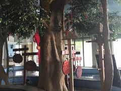 -仁爱团泊湖温泉中心
