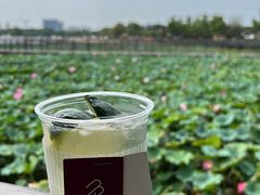 -瓦库茶馆37号(北龙湖店)