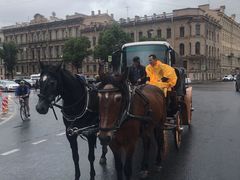 -滴血救世主教堂