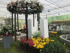 -上海鲜花港