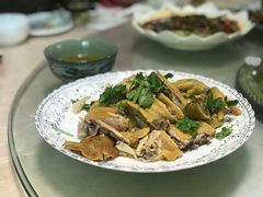姜汁白切鸡-洪霞餐馆