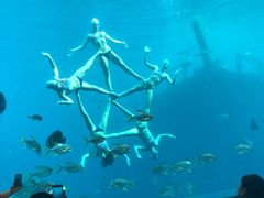 -瑞德姆美人鱼海底演艺主题餐厅(亚龙湾店)