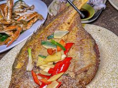 -贞姨美食·老字号海鲜大排档