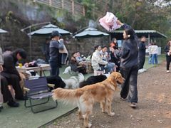-趣多多宠物公园·宠物训犬学校·宠物寄养