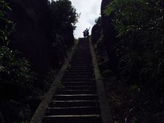 -玉苍山国家森林公园