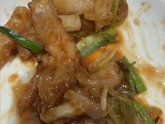 -鸢飞潍坊菜馆(鸢飞大酒店)