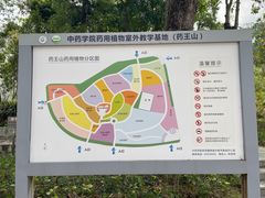 -广东中医药博物馆
