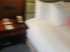 -上海浦东华美达大酒店
