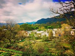 -塔川景区