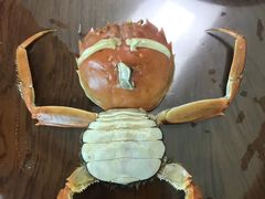 -章氏(车站北路店)