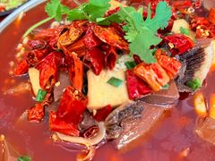 -观澜湖底捞(观澜墅店)