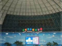 -泉城欧乐堡海洋极地世界