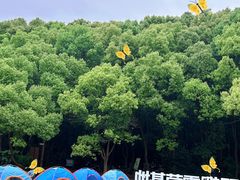 -同里国家湿地公园