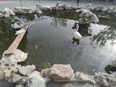-龙华寺