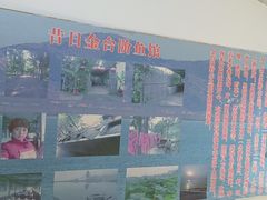 -金台阶鱼馆(于桥水库店)