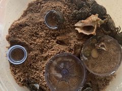 -东戴河风景区-止锚湾