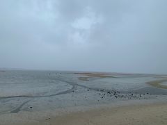 -北海金海湾红树林生态旅游区