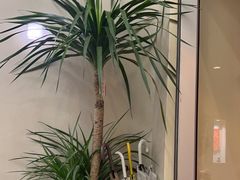 -小团圆糖水铺(襄阳南路店)