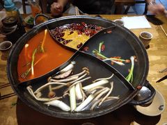 -白乐天毛肚火锅馆(解放碑店)
