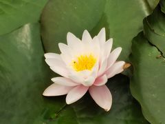 -沈阳植物园